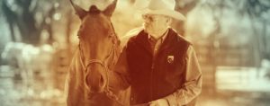 The Right Horse - Partners - Facebook