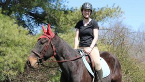 The Right Horse - Colleen -Cricket - Image1