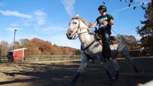 The Right Horse - Kiowa - Geronimo - Image3