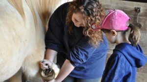 The Right Horse - Sandy - Silver - Image1