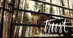 The Right Horse - Theresa + Windy