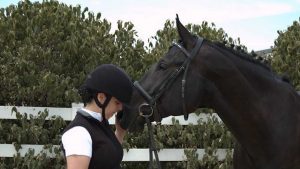 Beckham - The Right Horse