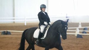 Beckham - The Right Horse