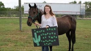 The Right Horse - Faith and Aerion