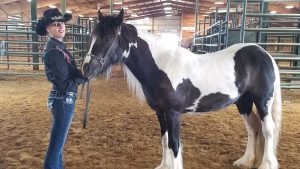 The Right Horse - Shawnee and Ryder