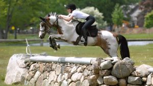 The Right Horse - Danielle