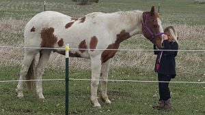 The Right Horse - Alec