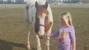 The Right Horse - Alec