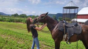 The Right Horse - Emma and Shadoh