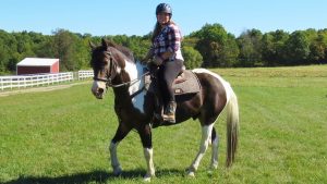 The Right Horse - Jordan and Peyote