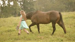 The Right Horse - Lydia and Joy