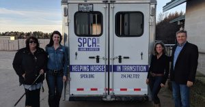 The Right Horse - SPCA Grant