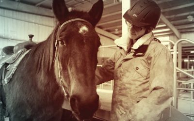 CSU Temple Grandin Equine Center Receives Grant for the First Regional Training Center