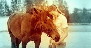 The Right Horse - It Starts With Adoption - FB