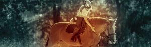 The Right Horse - Welcome To The Blog