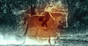 The Right Horse - Welcome To The Blog