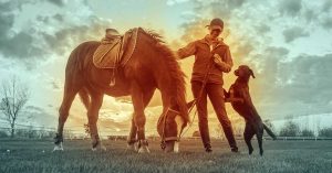 The Right Horse - Teamwork Makes The Dream Work - FB 2
