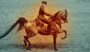 The Right Horse - Association As Stakeholders - FB