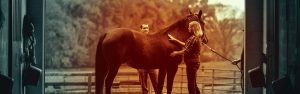 The Right Horse - Corporations as Stakeholders - Zoetis - Header3