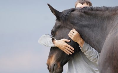 The Right Horse Initiative offers three $10,000 grants for training